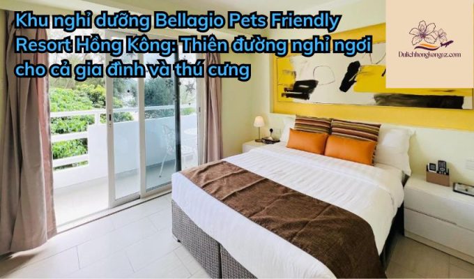 Khu nghỉ dưỡng Bellagio Pets Friendly Resort Hồng Kông: Thiên đường nghỉ ngơi cho cả gia đình và thú cưng