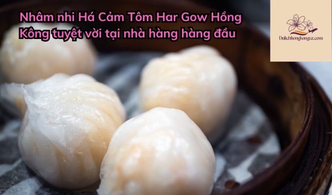 Nhâm nhi Há Cảm Tôm Har Gow Hồng Kông tuyệt vời tại nhà hàng hàng đầu